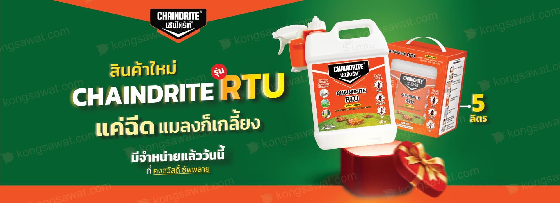 เชนไดร้ท์