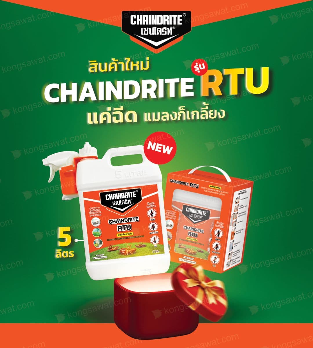 เชนไดร้ท์